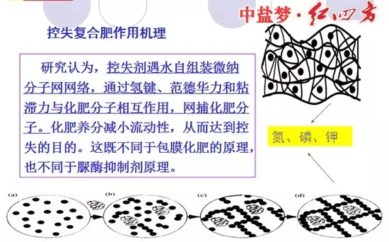 控失复合肥作用机理