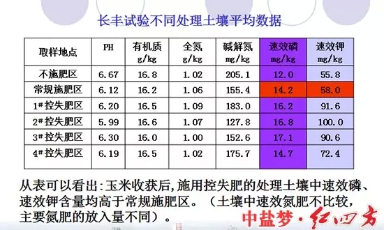 长丰实验土壤处理对比图，控失肥同样取得好成绩。