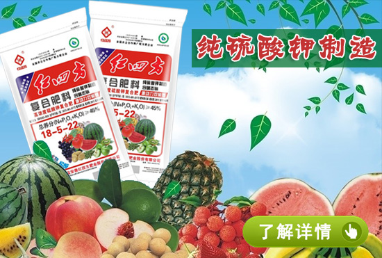 红四方果蔬专用硫酸钾复合肥1