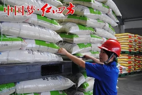 红四方16位经销商跻身全国百佳