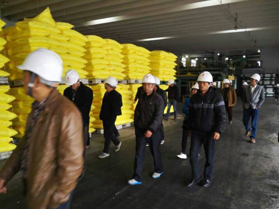 农场主参观红四方复合肥厂家