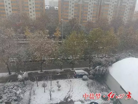 小雪过后，全国大面积开启了雨雪模式，淮北也羞答答地加入其中，静悄悄地下了一场大雪。虽说“旺季卖肥料，淡季做储备”，若整天顶着风雪跑网点、拜访客户或上门要账，也需要很大的“勇气