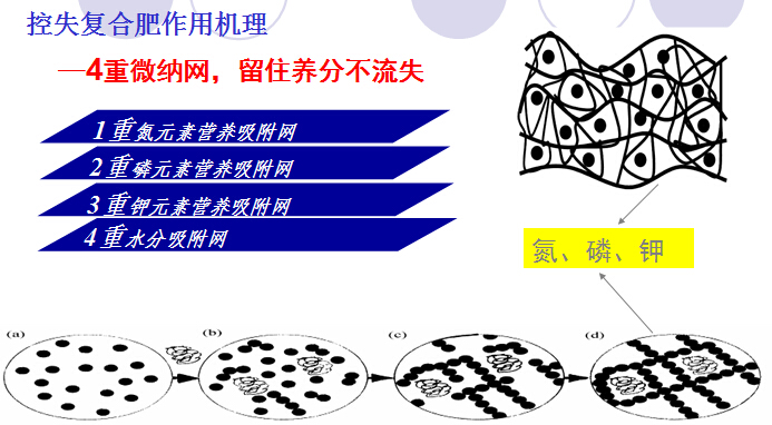 红色劲典控失肥作用机理