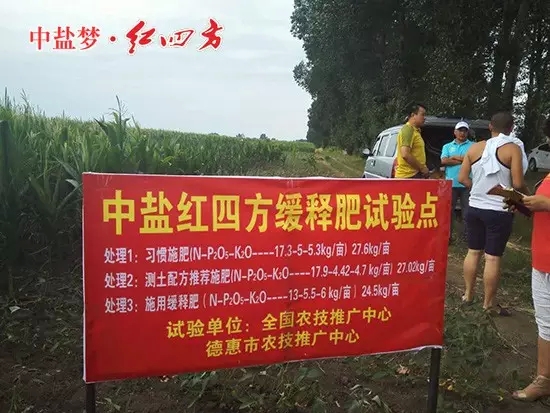 红四方缓释肥试验点