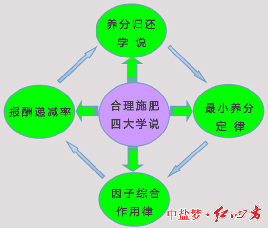 作物种植合理施肥四大学说