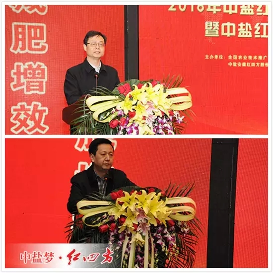 谢建华(上)、程燚(下) 谢建华(上)、程燚(下)