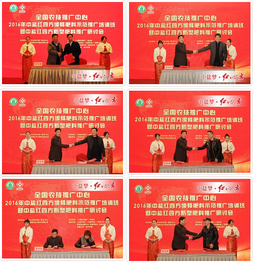 中盐红四方年终会精彩镜头 中盐红四方年终会精彩镜头