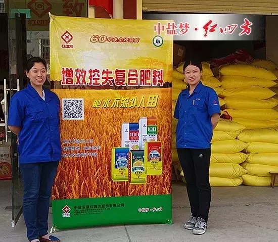 庐江红四方复合肥厂家业务经理董静及李春侠 庐江红四方复合肥厂家业务经理董静及李春侠