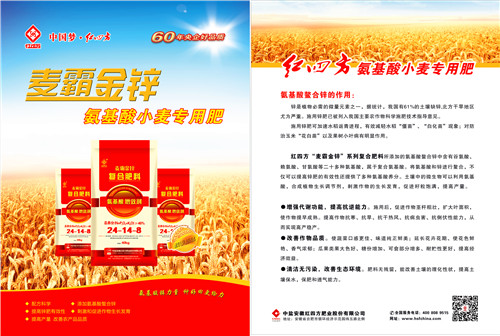 红四方麦霸金锌小麦专用肥单彩页