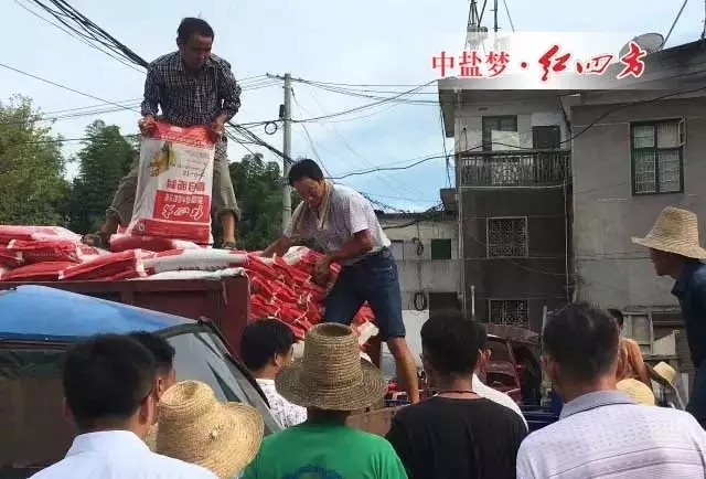 中盐红四方“送肥下乡”送到龙凤村贫困群众心坎上