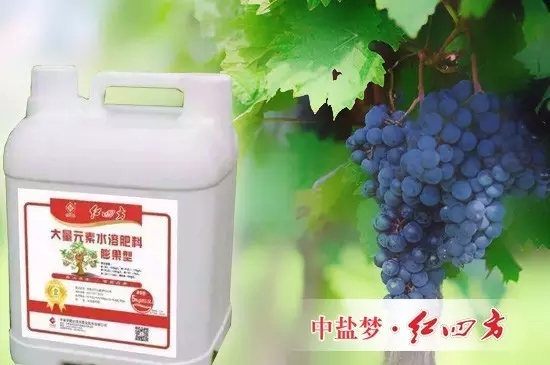 果树施用水溶肥效果好 果树施用水溶肥效果好