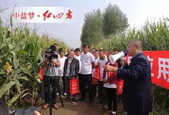 全国农技推广中心、吉林省土肥总站、扶余土壤肥料站等领导、专家与吉林经销商、大户110多人齐聚一堂，实地观摩玉米控失肥应用试验示范。