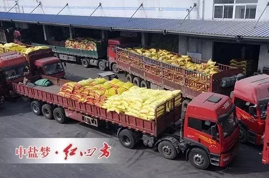 2月29日，全国各地复合肥销售活动进行的如火如荼，中盐红四方抢占市场制高点，各地销售中心捷报频传，销量不断攀升，复合肥发货量同期增长20%，创历史新高，迎来2016年农化销售“开门红”。