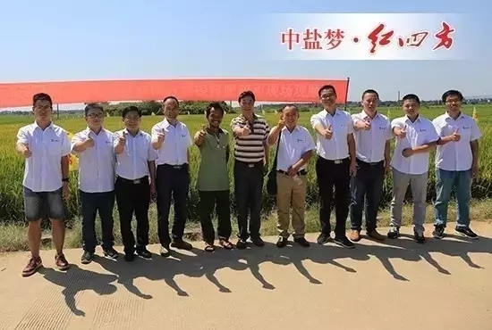 8月29-30日，全国农技推广中心、江西临川区农业局、中盐红四方和江西市场重点经销商、新型农业经营者等100余人，实地观摩红四方缓释肥水稻应用试验示范，正式拉开中盐红四方年2016年度新型肥料试验示范田检验行动。