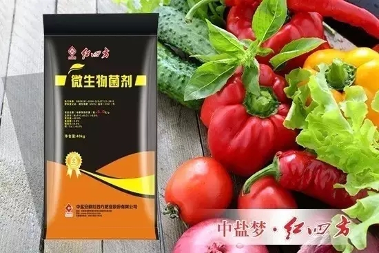 9月2日，中盐红四方微生物菌剂正式大量投放市场，在鱼龙混杂的新型肥料市场激起千层浪。