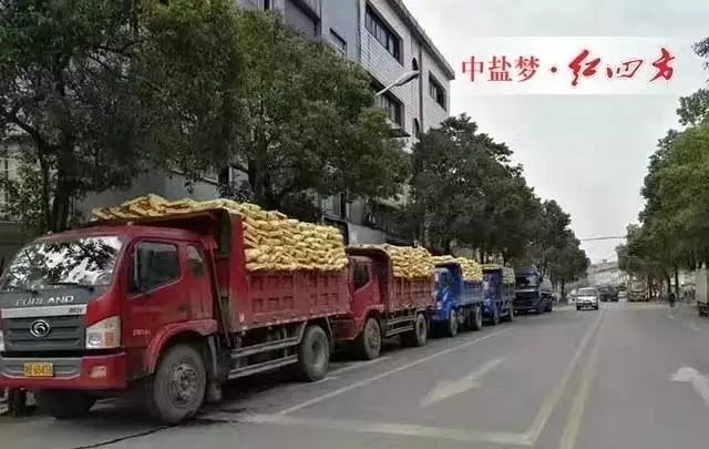 2016年，营销系统各大区通过大量观摩会、活动、科技讲座等，取得了喜人的销量。距离2017年只有2天，中盐红四方复合肥销售喜报频传，复合肥日发货量突破一万吨，创历史新高！