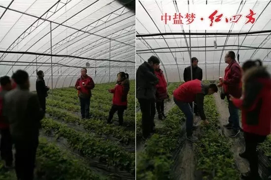 1月14日,我们与红四方德州市区域业务经理程林一道回访了使用红四方悬浮剂水溶肥的农户。 1月14日,我们与红四方德州市区域业务经理程林一道回访了使用红四方悬浮剂水溶肥的农户。