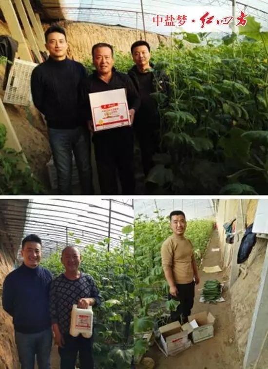 大伙儿反映,用红四方悬浮剂水溶肥,黄瓜长势旺,瓜条直、颜色绿、口感好,产量比同时期没有用的都有不同程度增加,今年又是一个丰收年,今年又是一个大卖年! 大伙儿反映,用红四方悬浮剂水溶肥,黄瓜长势旺,瓜条直、颜色绿、口感好,产量比同时期没有用的都有不同程度增加,今年又是一个丰收年,今年又是一个大卖年!